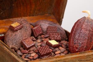 Lire la suite à propos de l’article L’Histoire du Chocolat