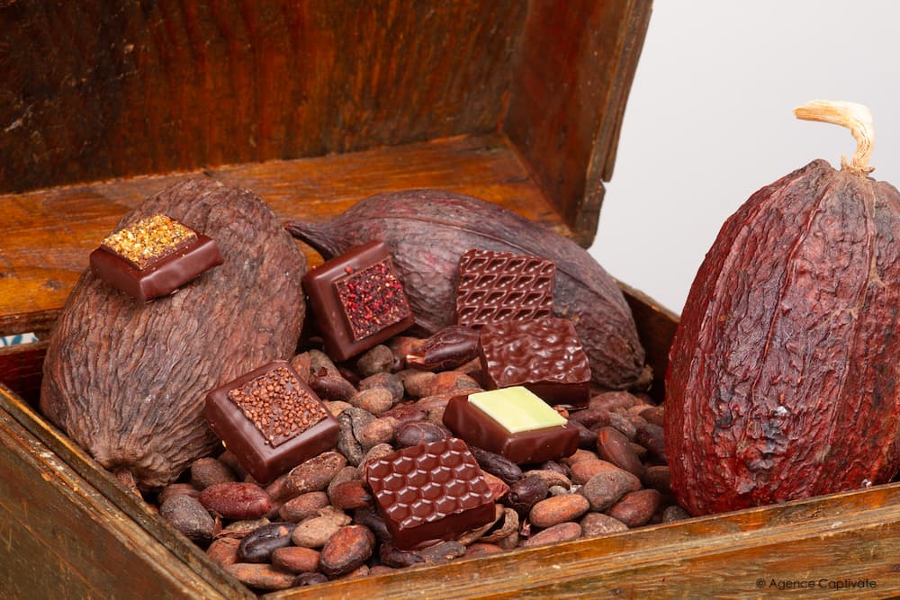 L'Histoire du Chocolat