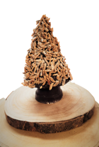 Le Sapin Amandes