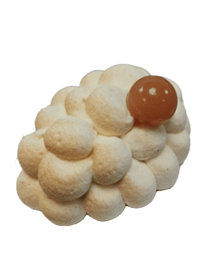 Le Melo Coton